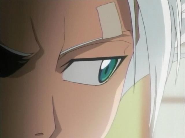 Otaku Gallery  / Anime e Manga / Bleach / Screen Shots / Episodi / 048 - Hitsugaya ruggisci / 116.jpg